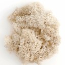 Moss artificiale colorato 200 g Erba decorativa Finti piante verdi Mini paesaggio DIY artigianato Decorazione da giardino domestico Soggiorno 3