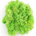 Moss artificiale colorato 200 g Erba decorativa Finti piante verdi Mini paesaggio DIY artigianato Decorazione da giardino domestico 7