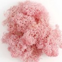 Moss colorido artificial 200 g Musgo decorativo Plantas verdes falsas Mini paisagem DIY artesanato Decoração de jardim doméstico Sala de estar 6