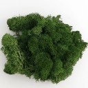 Moss colorido artificial 200 g Musgo decorativo Plantas verdes falsas Mini paisagem DIY artesanato Decoração de jardim doméstico Sala 12