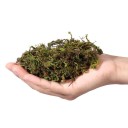 Moss decorativo 2