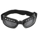 Motorcycle Goggles 1