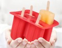 Moule à glaces avec bâtonnets C329 2