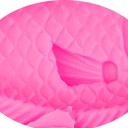 Moule en silicone carpe 5