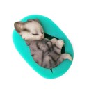 Moule en silicone chat 6