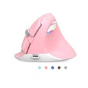 Mouse Ergonomica Delux M618 Mini 1