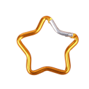 Mousqueton en forme d'étoile 4,8 x 4,8 cm Mousqueton en acier inoxydable 10