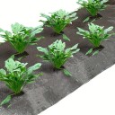 Mulčovací plachta na hubení plevele s otvory pro sázení rozměr 60 x 1000 cm černá s otvory 8 cm po 25 cm na zeleninu jahody i bylinky 1