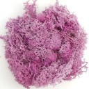 Mușchi artificial colorat, 200 g, iarbă decorativă de mușchi, plante verzi false, mini peisaj, artizanat, decor pentru grădină 9