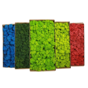 Mușchi artificial colorat, 200 g, iarbă decorativă de mușchi, plante verzi false, mini peisaj, artizanat, decor pentru grădină 1