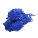 Muschio decorativo artificiale C647 10