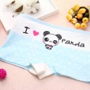 Mutandine per ragazze con panda - 4 pezzi 5