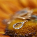 Naisten kaulakoru riipuksilla D744 5