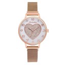 Naisten kello T1558 6