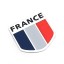 Naklejka na samochód z flagą Francji 2