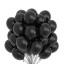 Narozeninové balónky 25 cm 10 ks T820 1