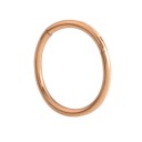 Näspiercing 1,2 x 6 mm 6