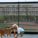 Netzschutz für Hunde 78 x 180 cm Sicherheitsbarriere für Haus und Wohnung mit 4 selbstklebenden Haken Einfache Montage und Umplatzierung 2