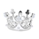 Newborn Crown 1