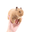 Niedliches Capybara-Plüschtier für Kinder, Capybara-Plüschtier, Tierdekoration für Kinderzimmer, 30 cm 2