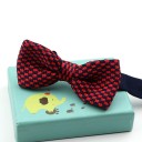 Nœud papillon pour enfant T1493 22