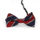 Nœud papillon pour enfant T1495 17