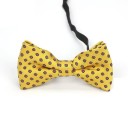 Nœud papillon pour enfant T1495 19