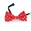 Nœud papillon pour enfant T1495 9