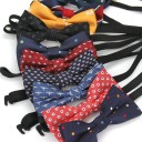Nœud papillon pour enfant T1495 1