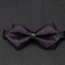 Nœud papillon pour homme T1268 17