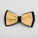 Nœud papillon pour homme T1289 14