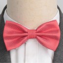 Nœud papillon T1265 13