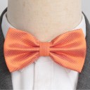 Nœud papillon T1265 14