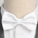 Nœud papillon T1265 1
