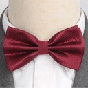 Nœud papillon T1265 24