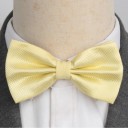 Nœud papillon T1265 28