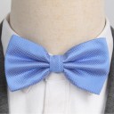 Nœud papillon T1265 31