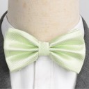 Nœud papillon T1265 5