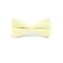 Nœud papillon T1283 13