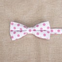 Nœud papillon T1304 11