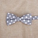 Nœud papillon T1304 13