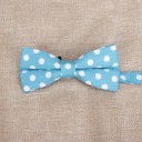 Nœud papillon T1304 15