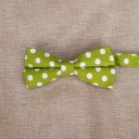 Nœud papillon T1304 16