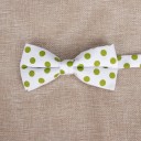 Nœud papillon T1304 17
