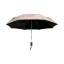 Női esernyő T1381 4