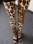 Női leggings leopárd mintával J521 14