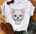 Női póló chihuahua nyomtatással 22