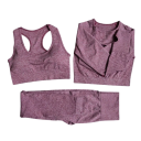 Női sportos szett Sportmelltartó, hosszú ujjú póló és leggings Egyszínű fitnesz szett 6