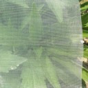 Non-woven stof voor gewasbescherming 1