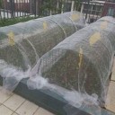 Nonwoven stof til plantebeskyttelse 3